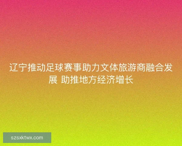 辽宁推动足球赛事助力文体旅游商融合发展 助推地方经济增长